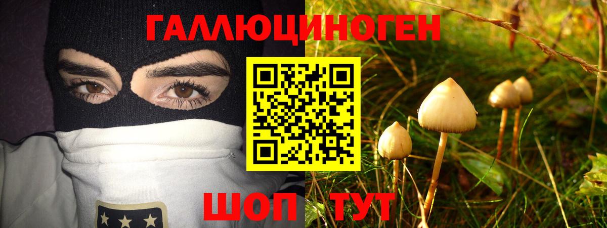 Псилоцибиновые грибы ЛСД Курчалой