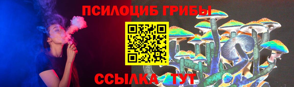 Псилоцибиновые грибы GOLDEN TEACHER  Вход с VPN  Курчалой 